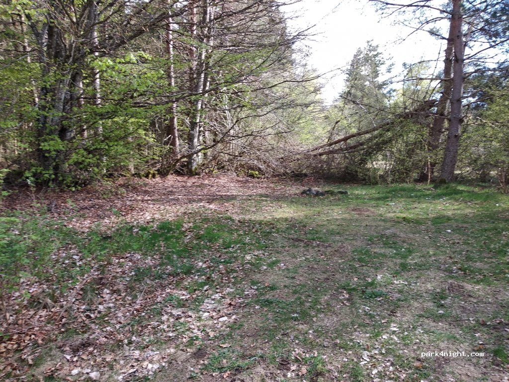 (63230) Saint-Ours - D559 — foto