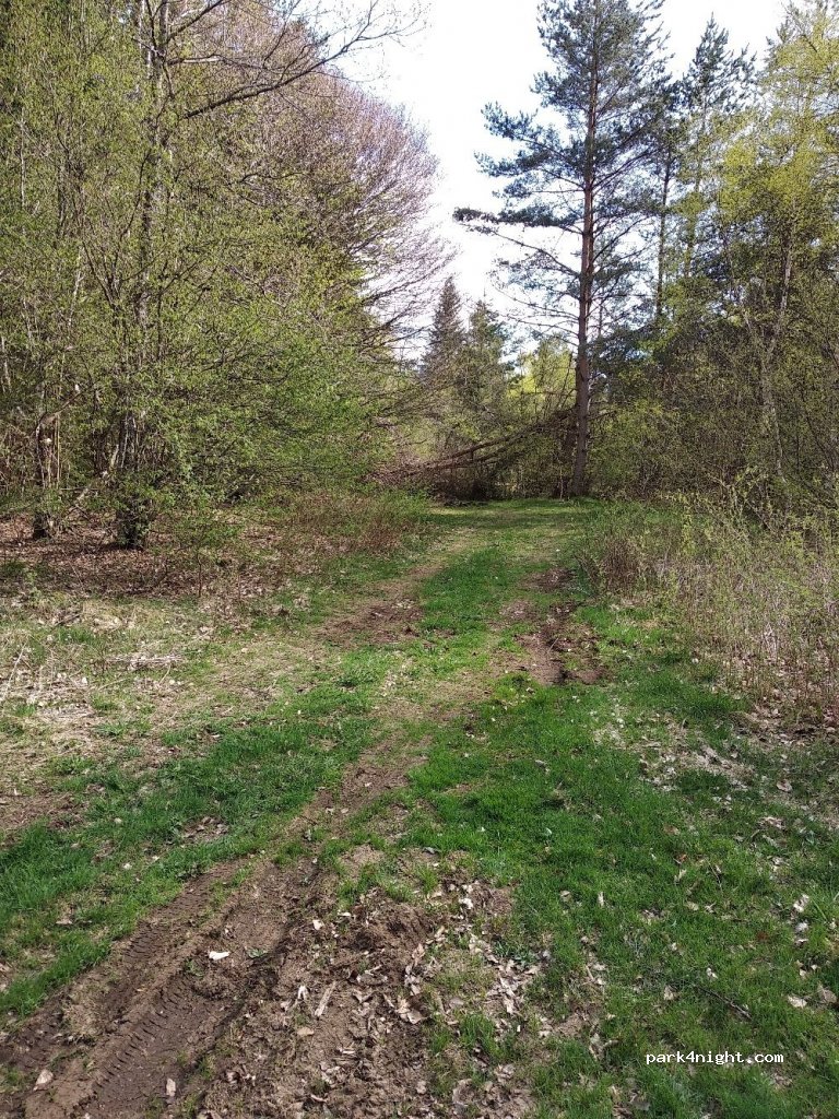 (63230) Saint-Ours - D559 — foto 2