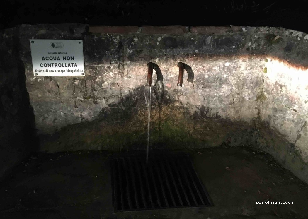 (06081) Assisi - Strada Provinciale di Spello — foto 4