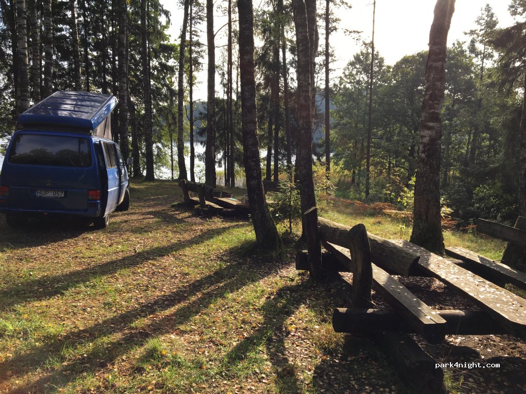 () Beržynėlis (birchwood) - Plateliai — foto 2