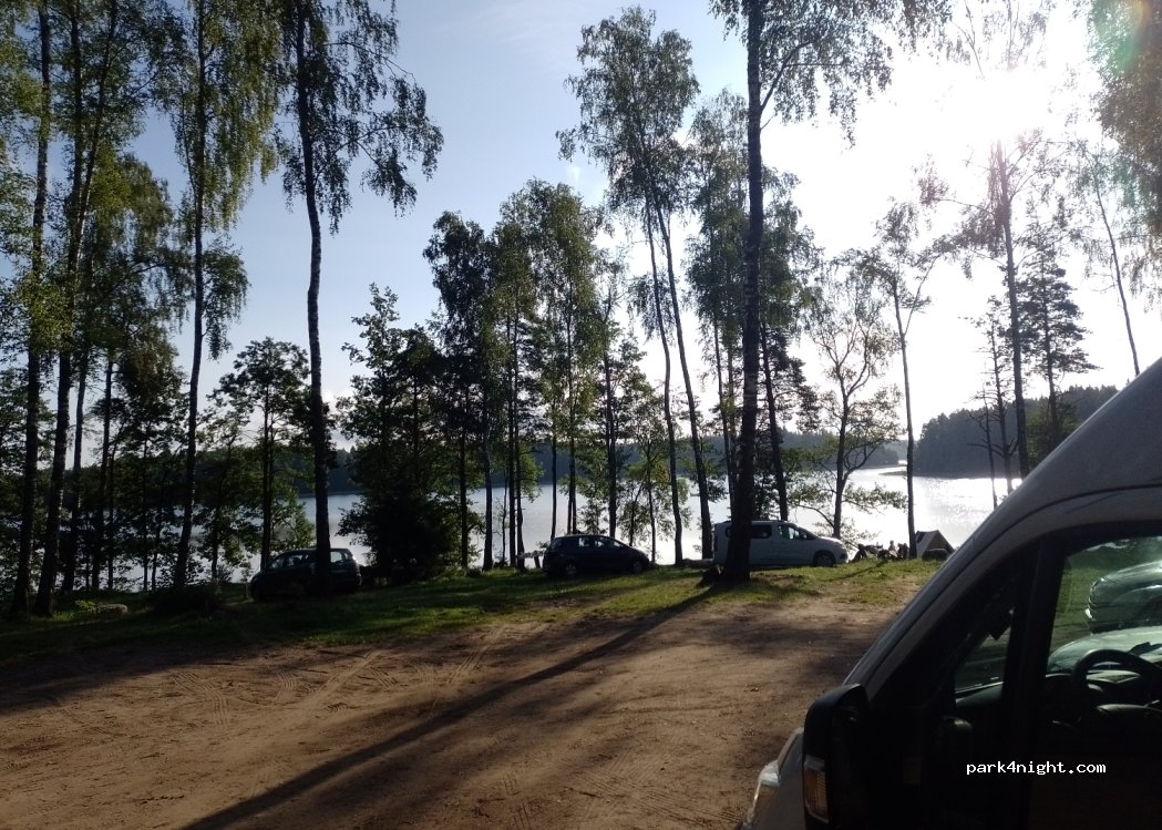 () Beržynėlis (birchwood) - Plateliai — foto 4