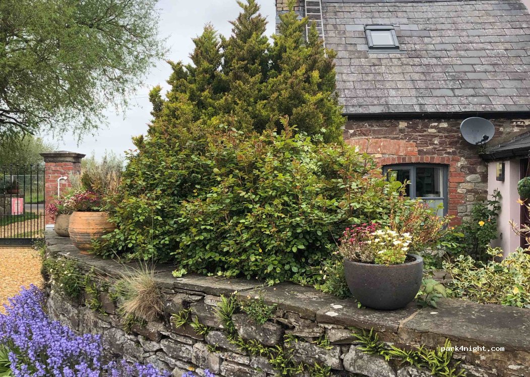 Tŷ Coch Farm — foto 3