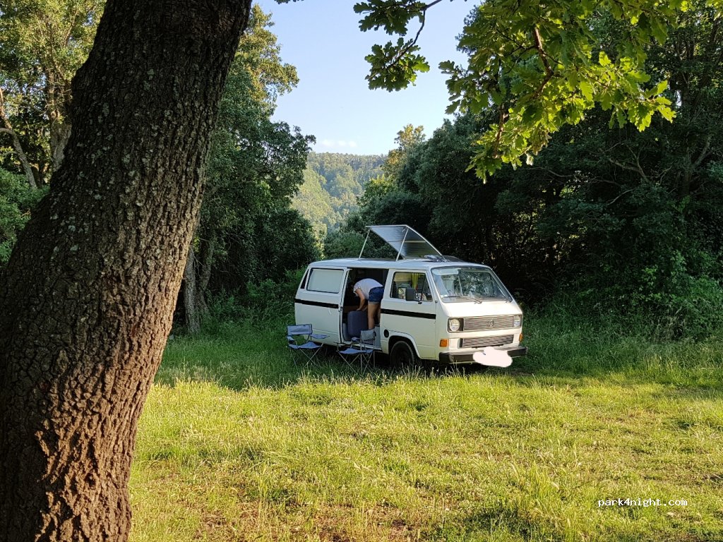 (20213) Penta-di-Casinca - D206 — foto