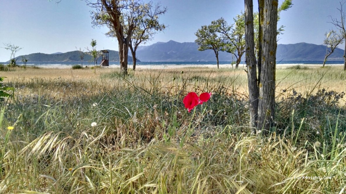 (640 11) Keramoti - Unnamed Road — foto 2