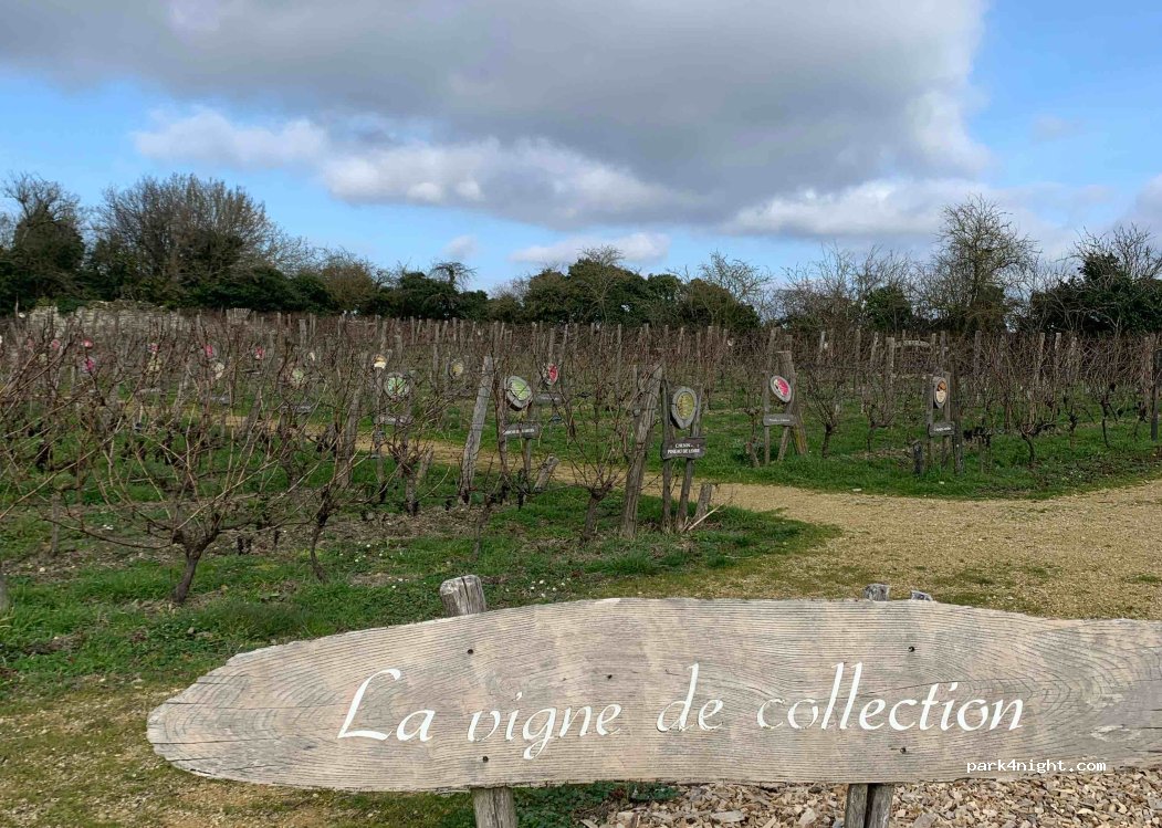 (86120) Curçay-sur-Dive - 4 Route de Ranton — foto 3