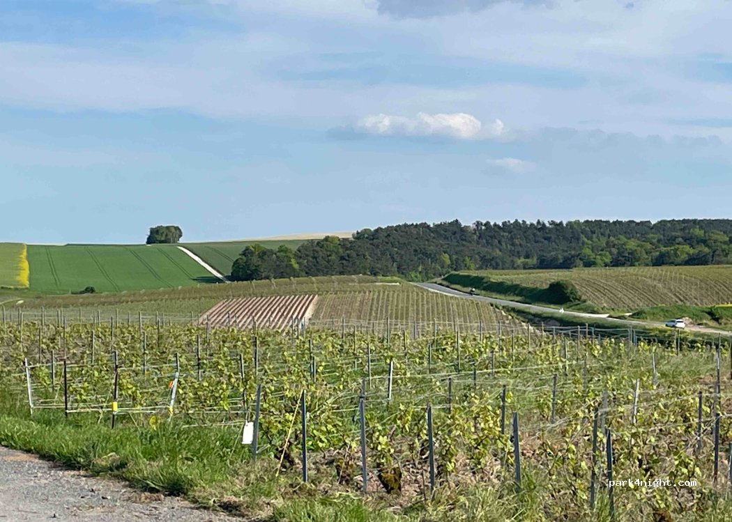 (51380) Villers-Marmery - D26 — foto 3