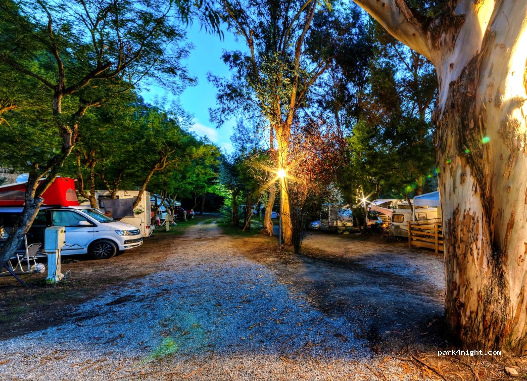 Camping Delle Rose — foto 2