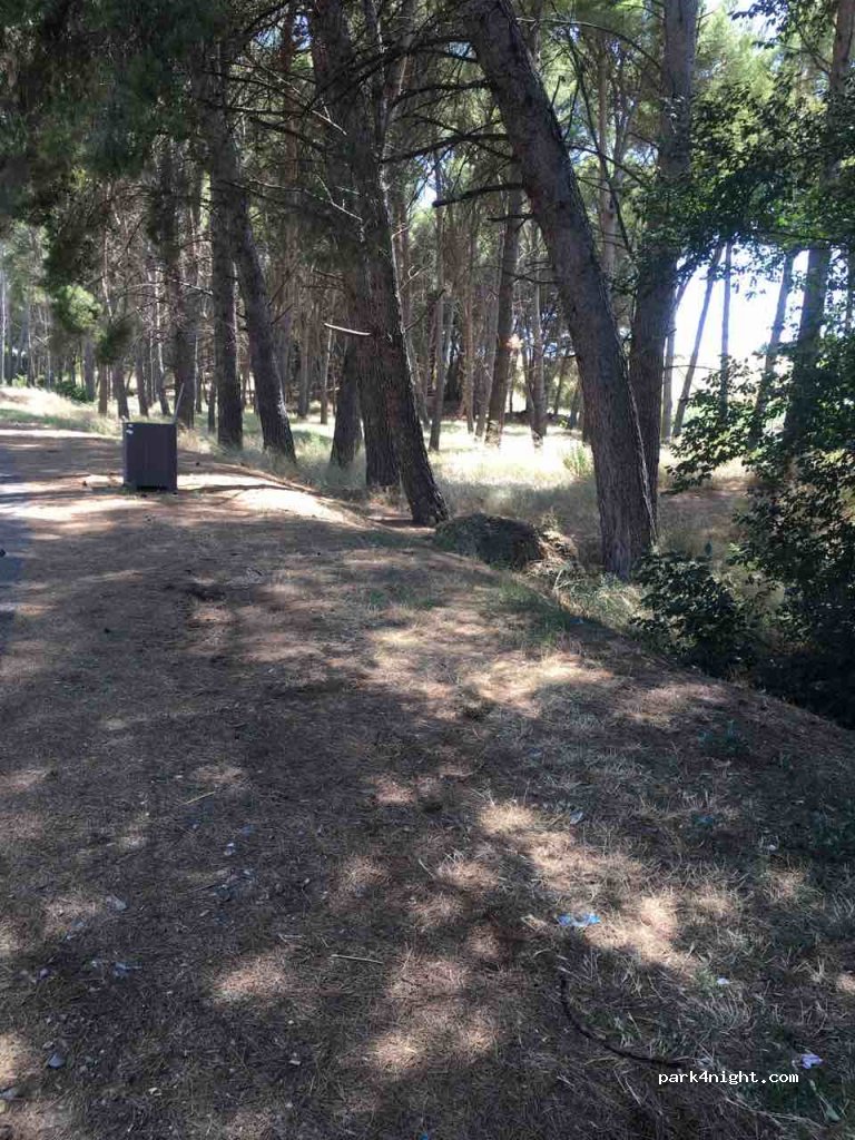 (31500) Cadreita - 2 N-121 — foto
