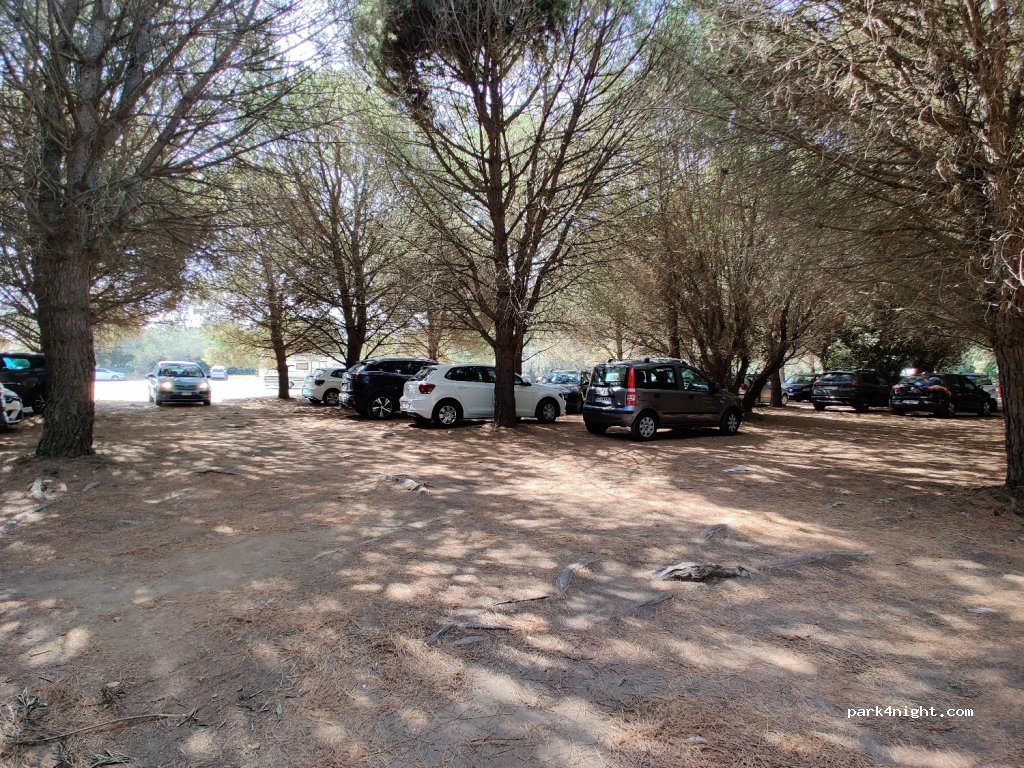 (57023) Cecina - Via Campilunghi — foto 3