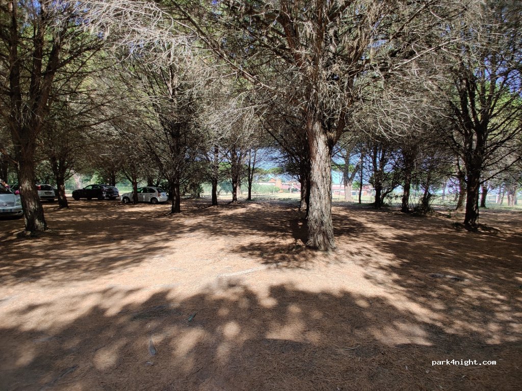 (57023) Cecina - Via Campilunghi — foto 4