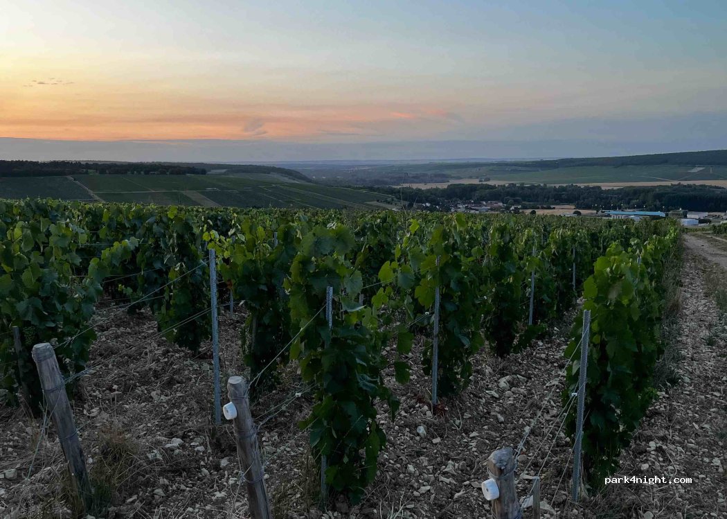 (89800) Chablis - Unnamed Road — foto 3