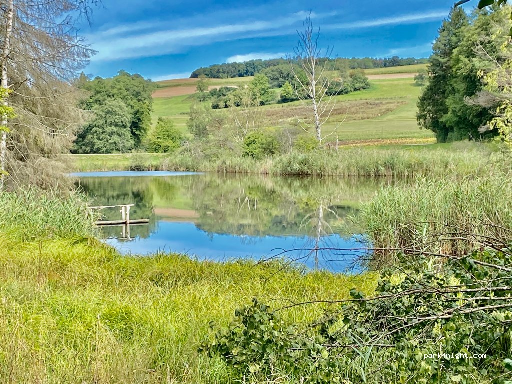 (8466) Trüllikon - 1 Dachsenhausen — foto 3