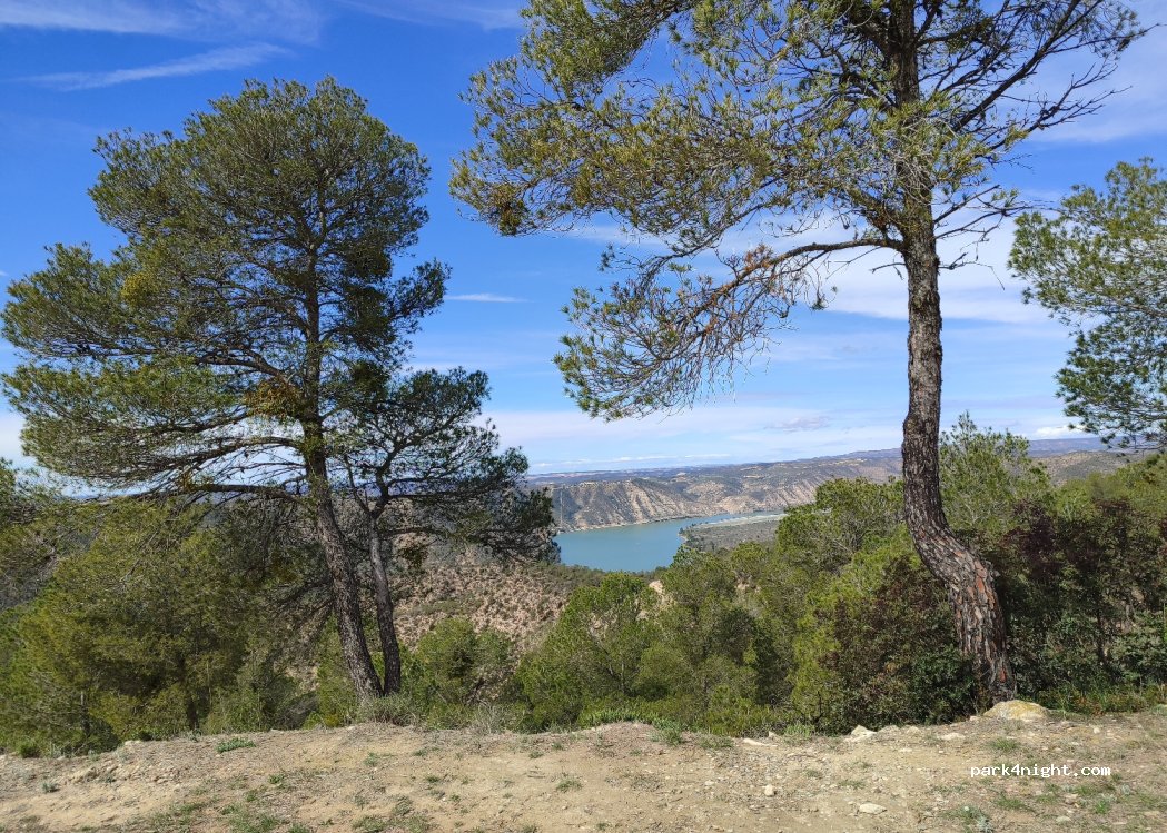 (43790) Riba-roja d'Ebre - TV-7411 — foto 2