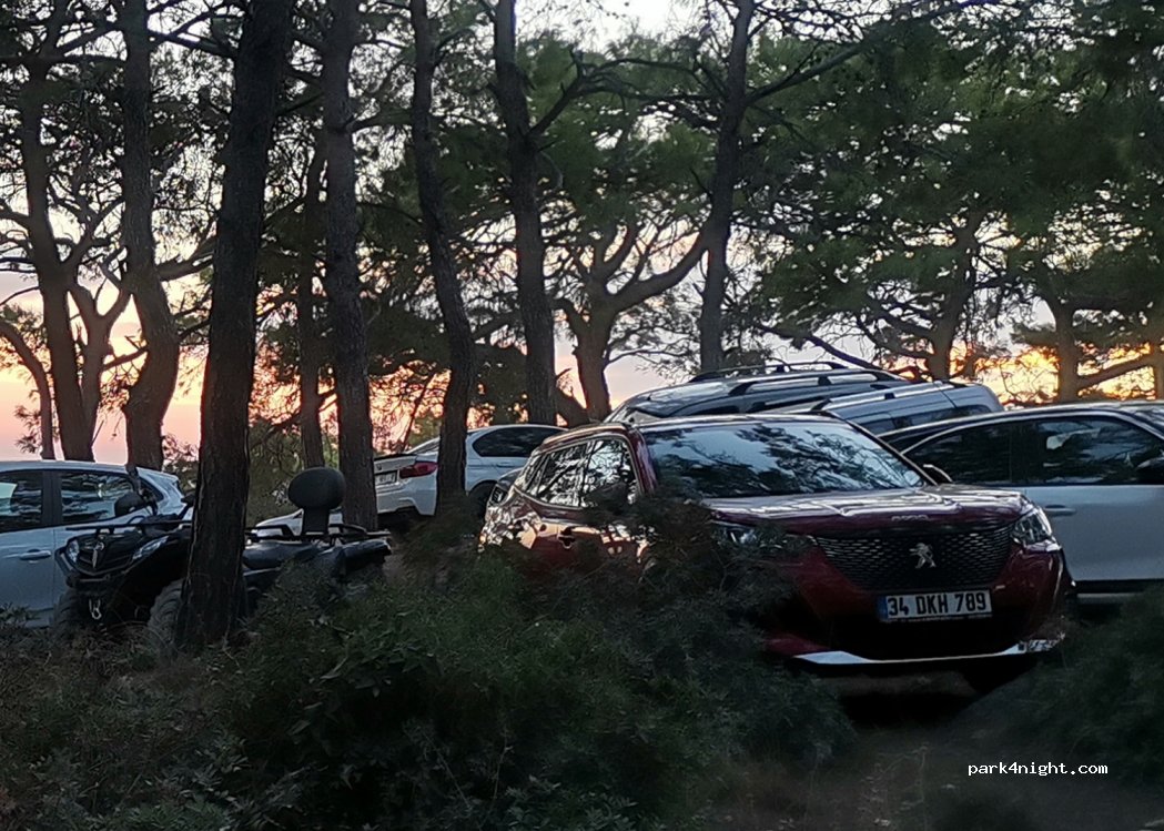 Patara Sand Dunes — foto 2