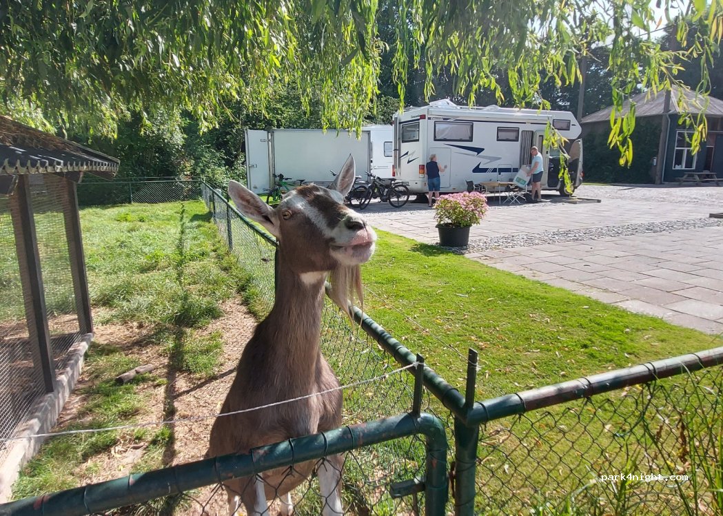 Camperplaats Afslag Nagele — foto 3