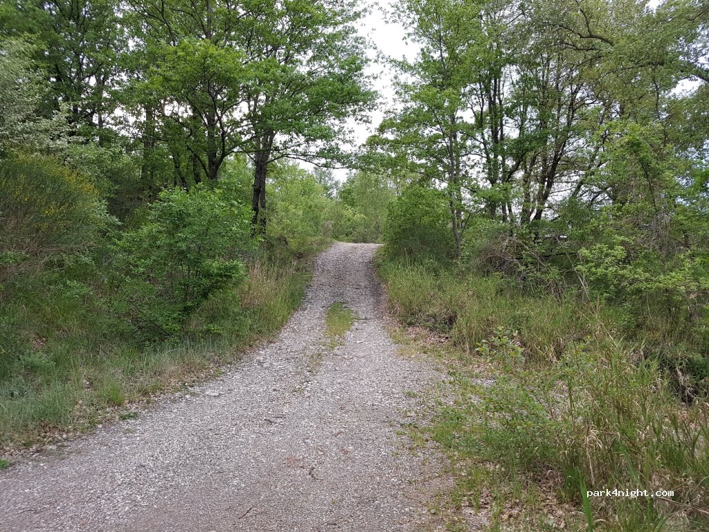 (58055) Semproniano - Strada Provinciale Cellena - Selvena — foto 2