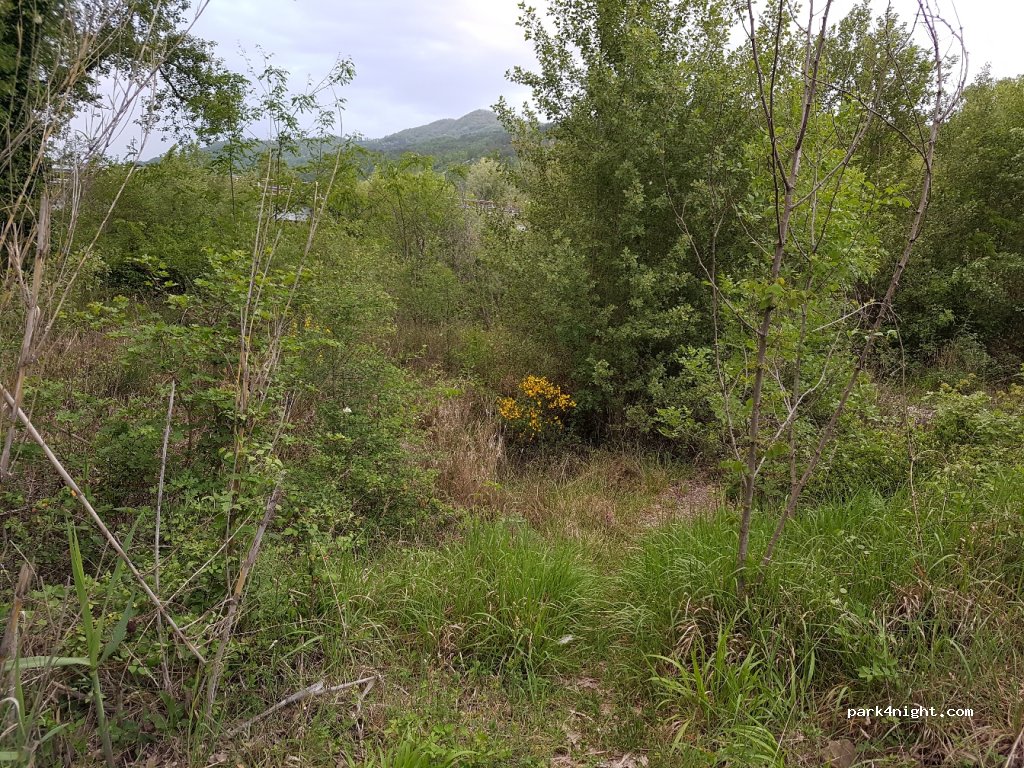 (58055) Semproniano - Strada Provinciale Cellena - Selvena — foto 3