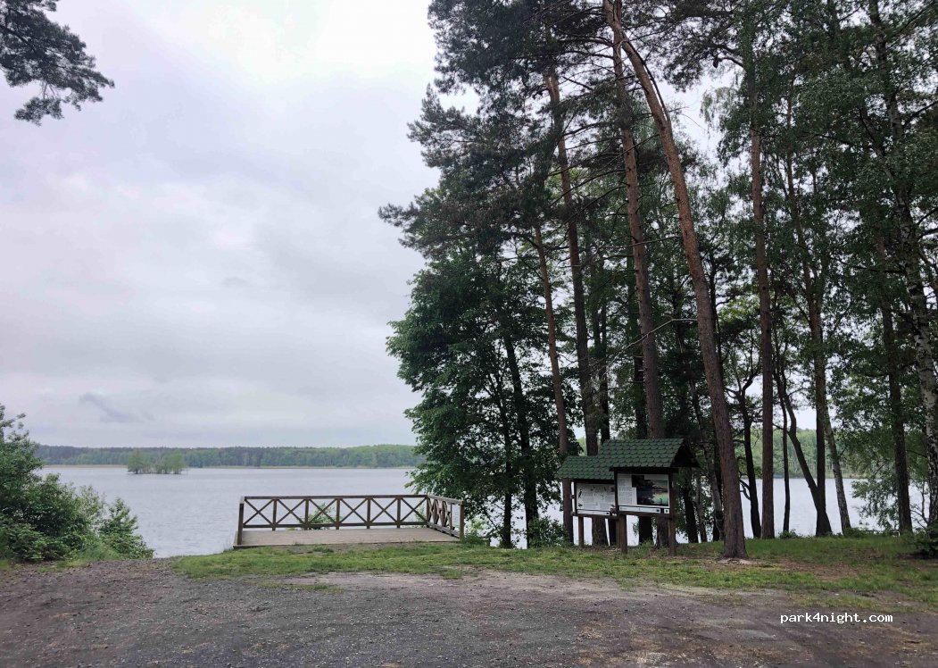 Forest camping - Sosenka — foto