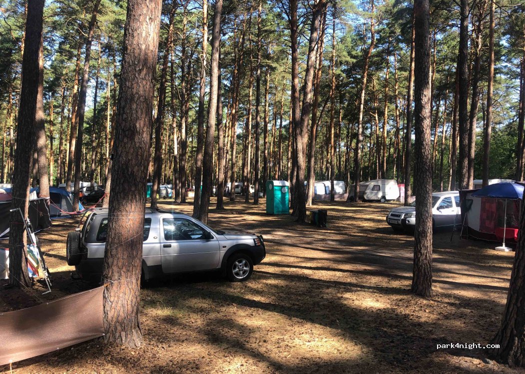 Forest camping - Sosenka — foto 2
