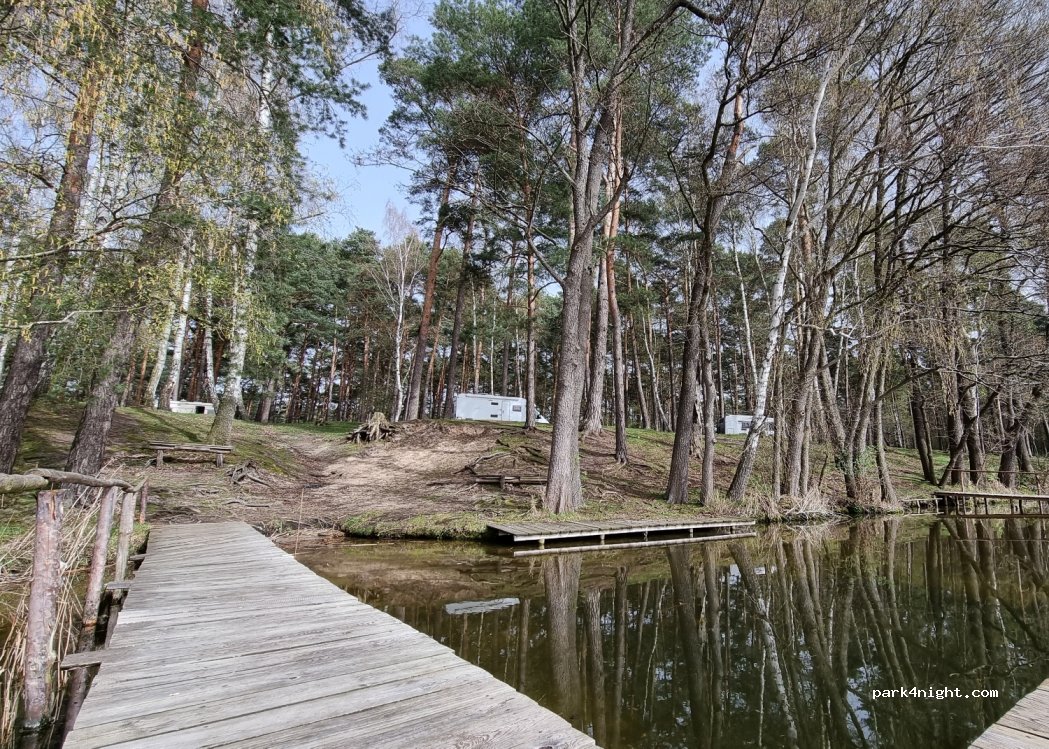 Forest camping - Sosenka — foto 4