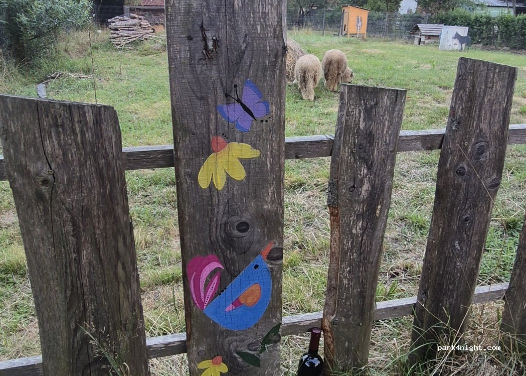 Camping Noroc Maramures — foto 5