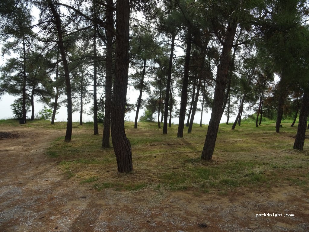 (600 66) Methoni - Unnamed Road — foto 2