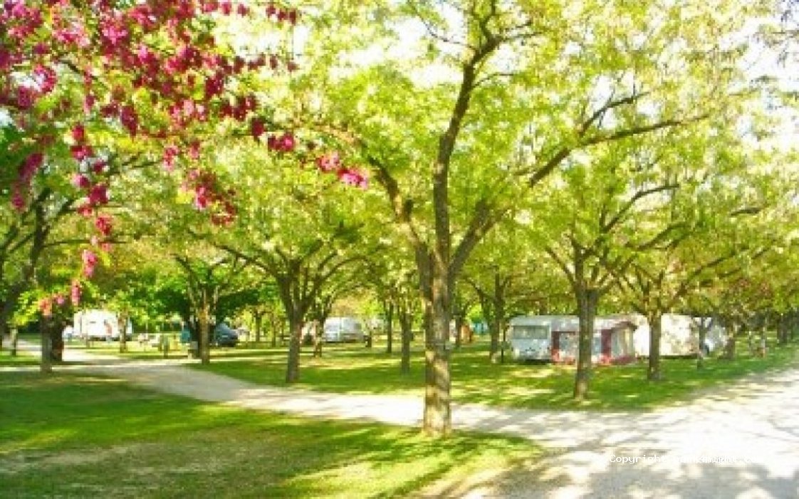 Camping Le Pontet — foto 2