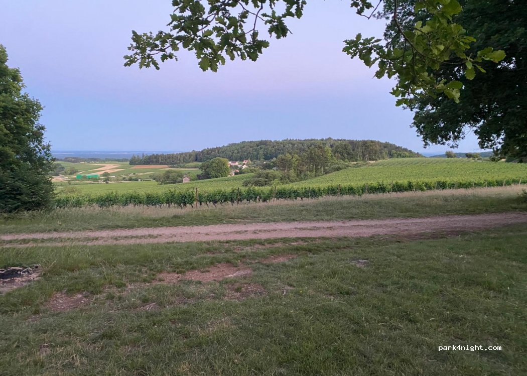 (21700) Villers-la-Faye - Route des Chaumes — foto 2