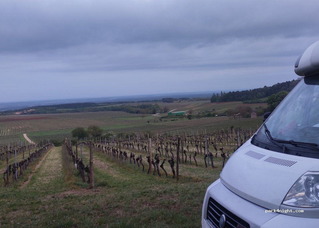(21700) Villers-la-Faye - Route des Chaumes — foto 3