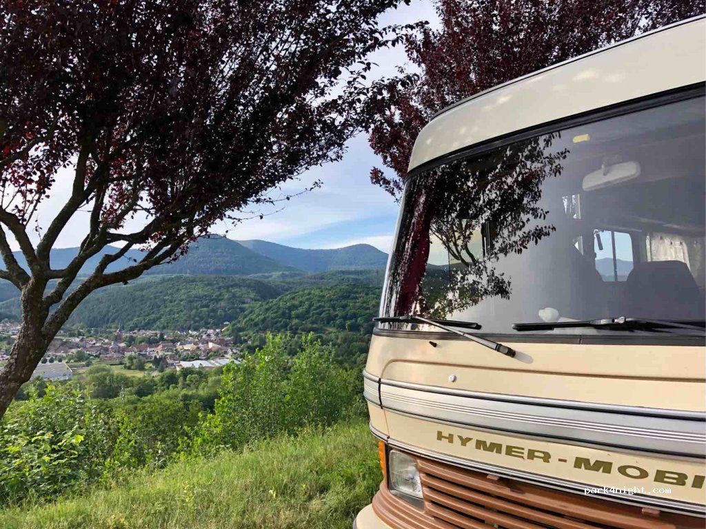 (67130) Russ - D204 — foto