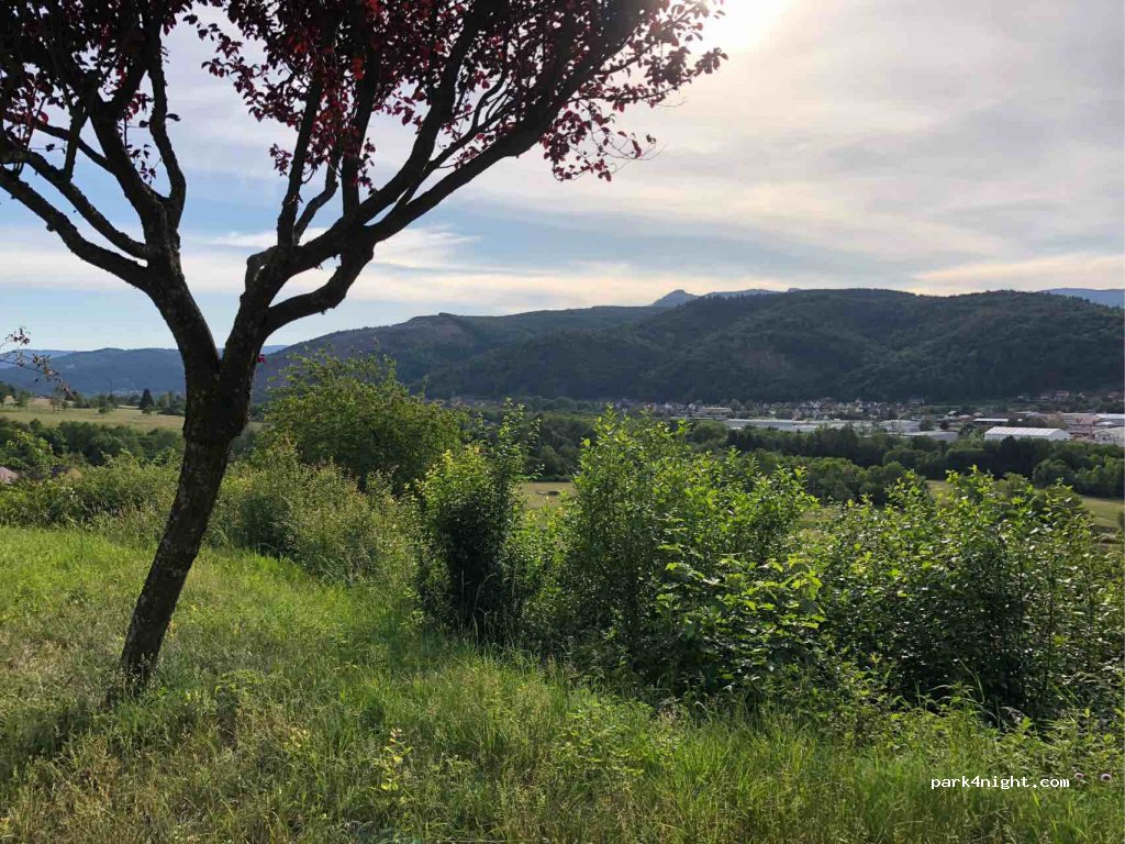 (67130) Russ - D204 — foto 2