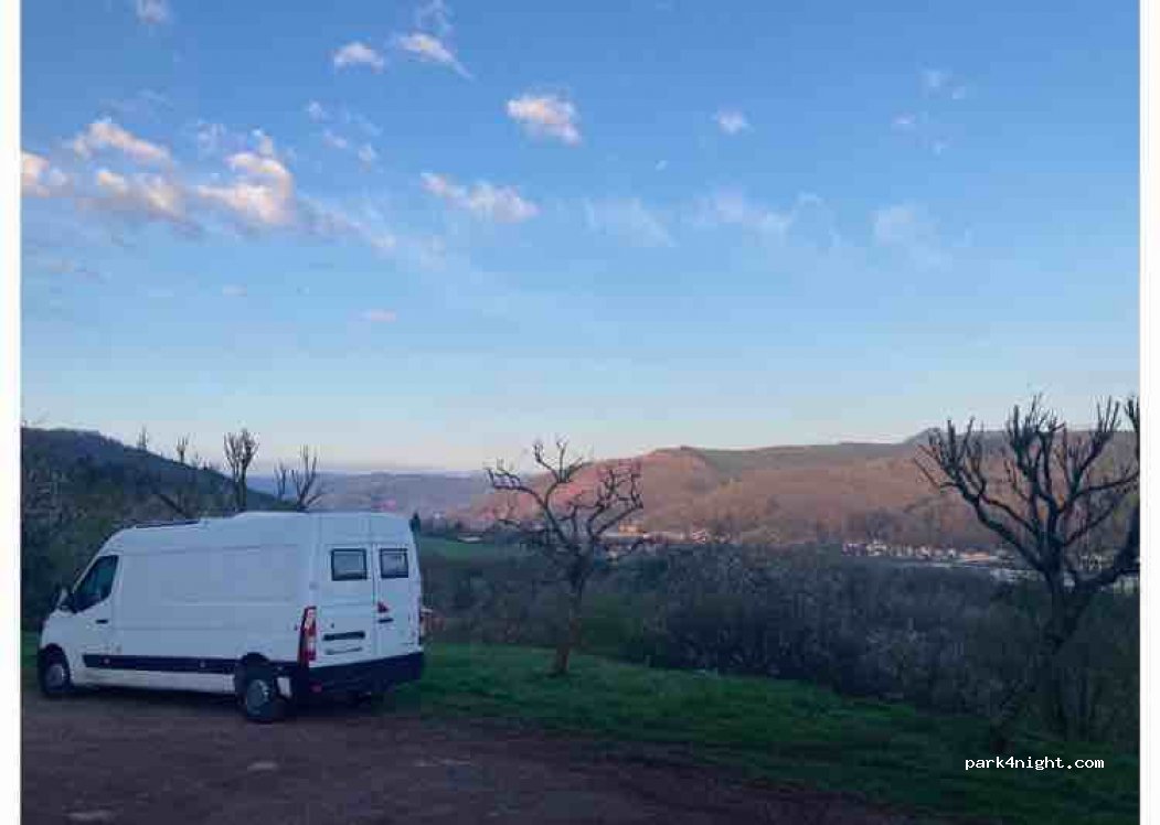 (67130) Russ - D204 — foto 3