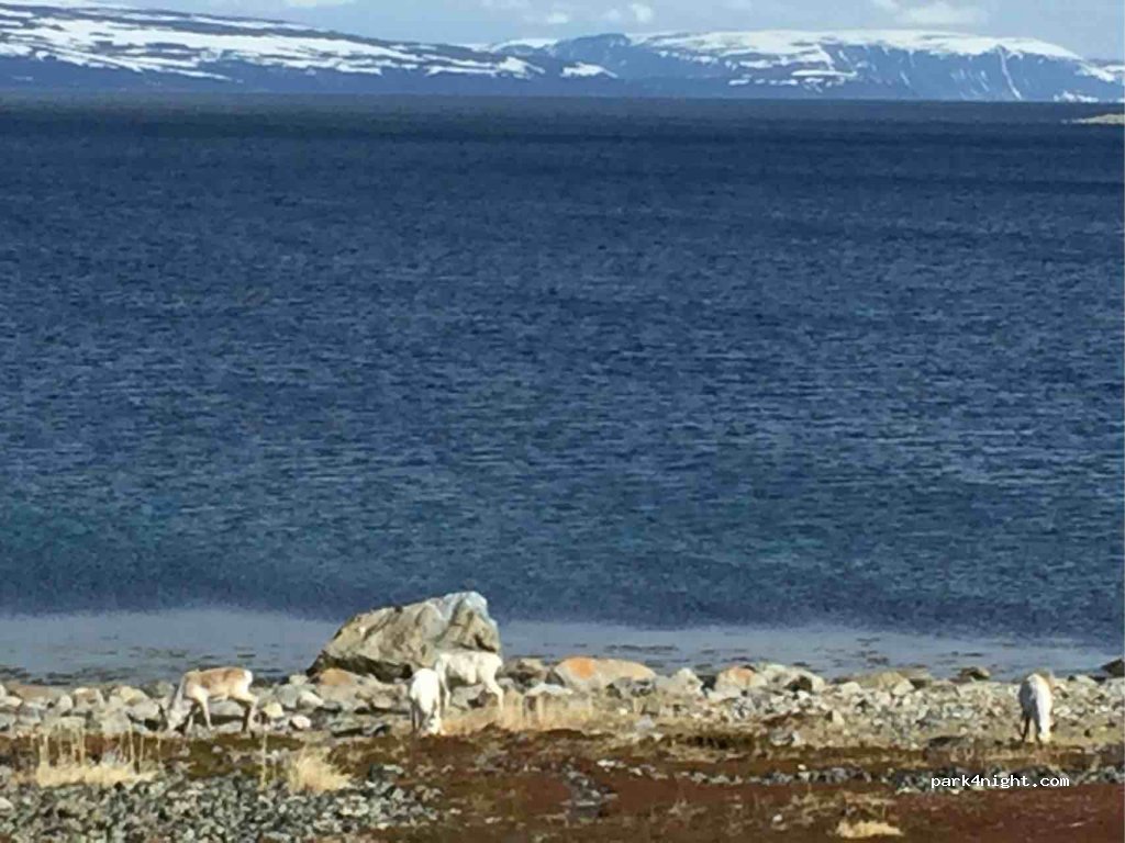 (9740)  - 3 Sekundær Fylkesvei 98 — foto 2