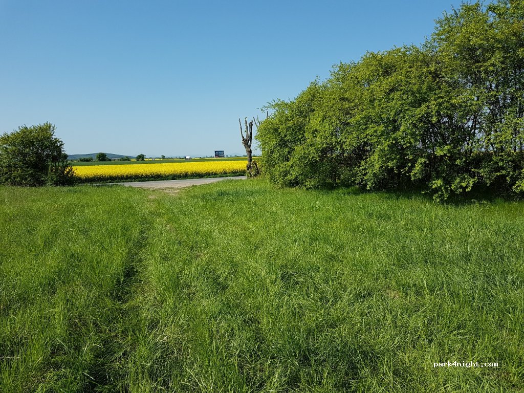 (55-311) Wichrów-Kolonia - Droga Krajowa 5 — foto