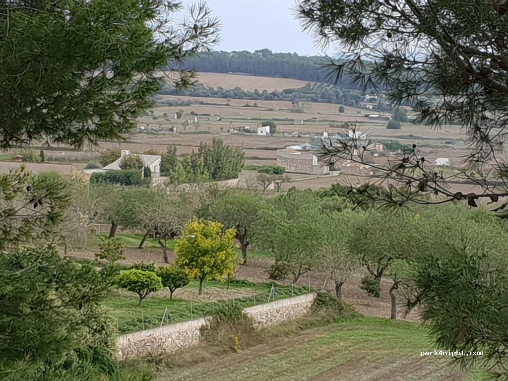 (07420) Sa Pobla - 19 Carretera de Muro — foto 4