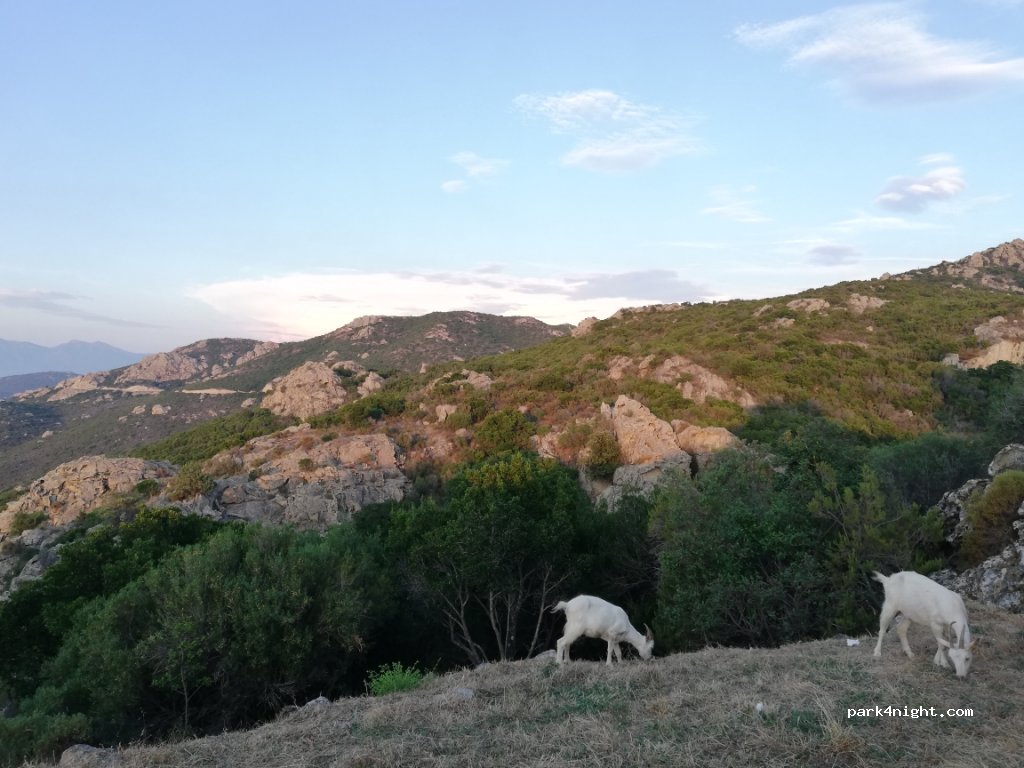 (20246) Santo-Pietro-di-Tenda - D81 — foto 2