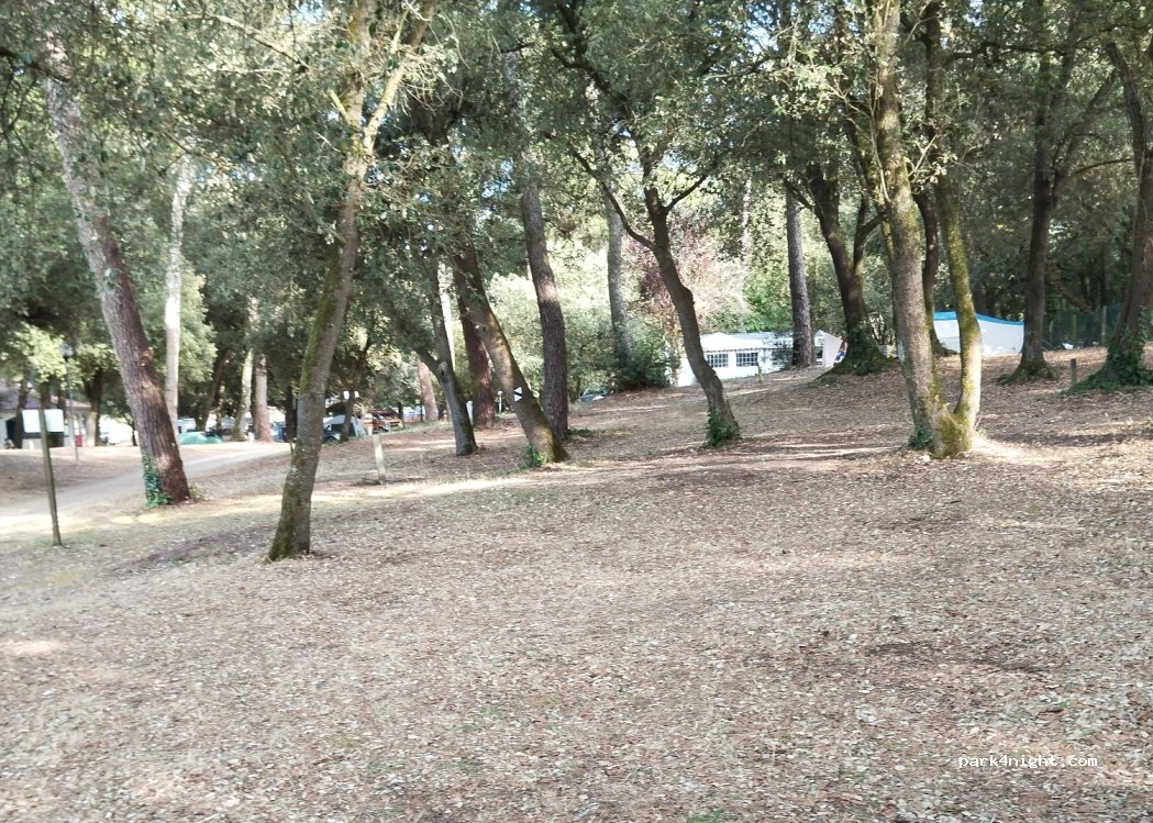 Camping Pied Girard — foto 3