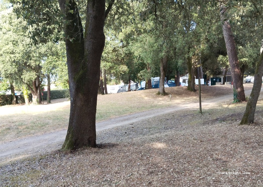 Camping Pied Girard — foto 4