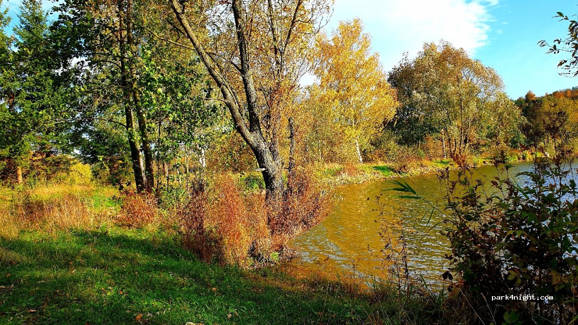 () Kamienna Góra - 51 Wysoka — foto 2