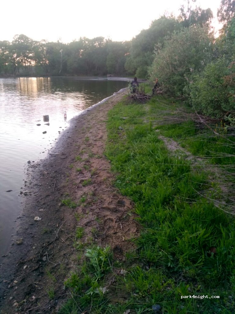 (373 44) Zliv - 12229 — foto 3