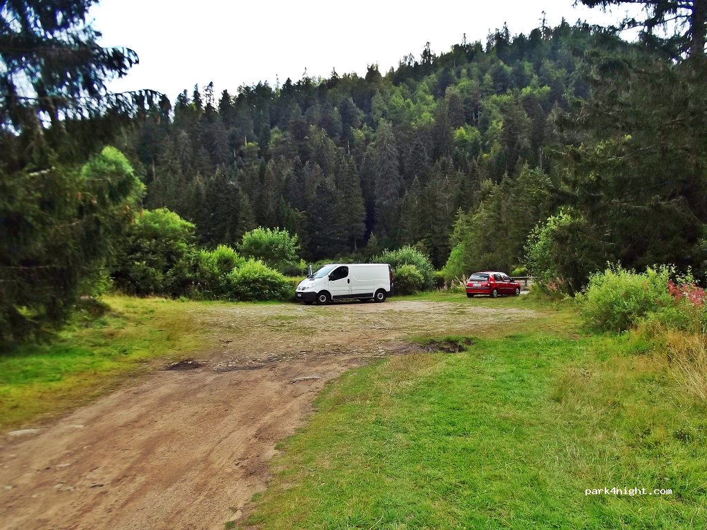 (88250) La Bresse - 47 Route de Lispach — foto 2