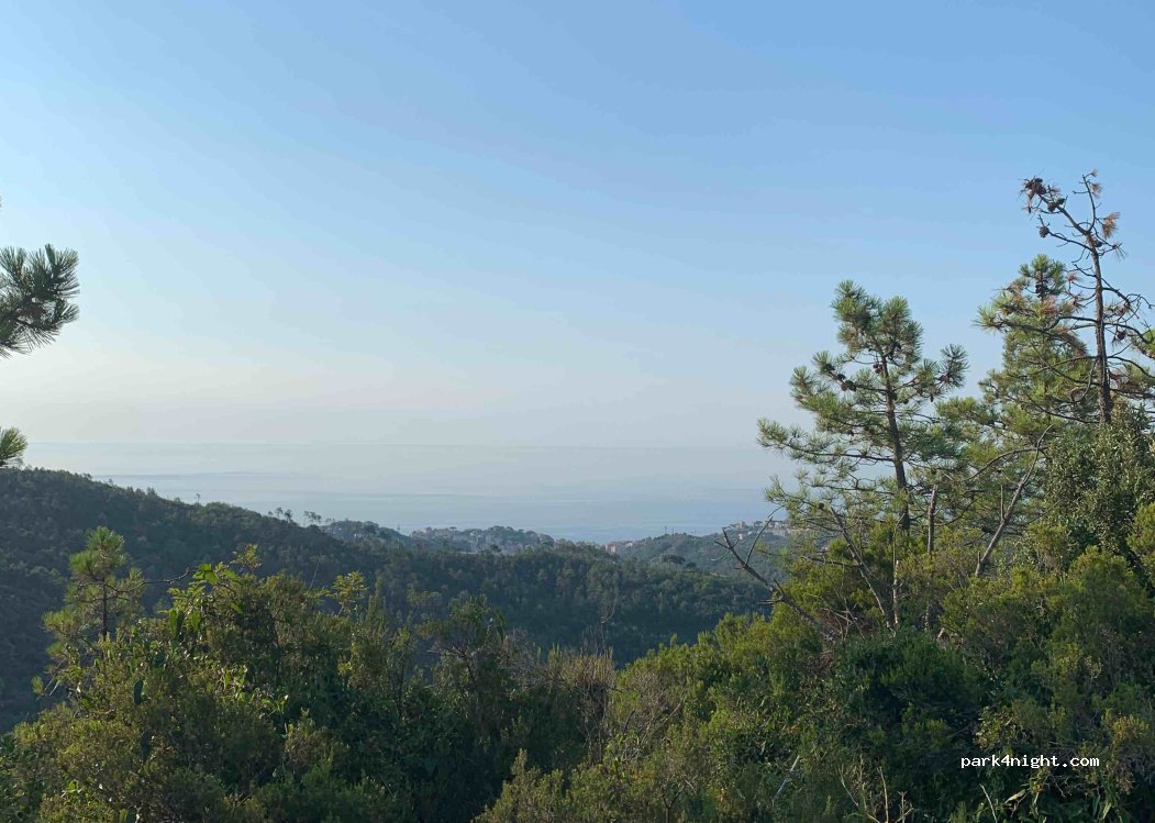 (17015) Sanda - 116 Strada Provinciale 37 — foto 3