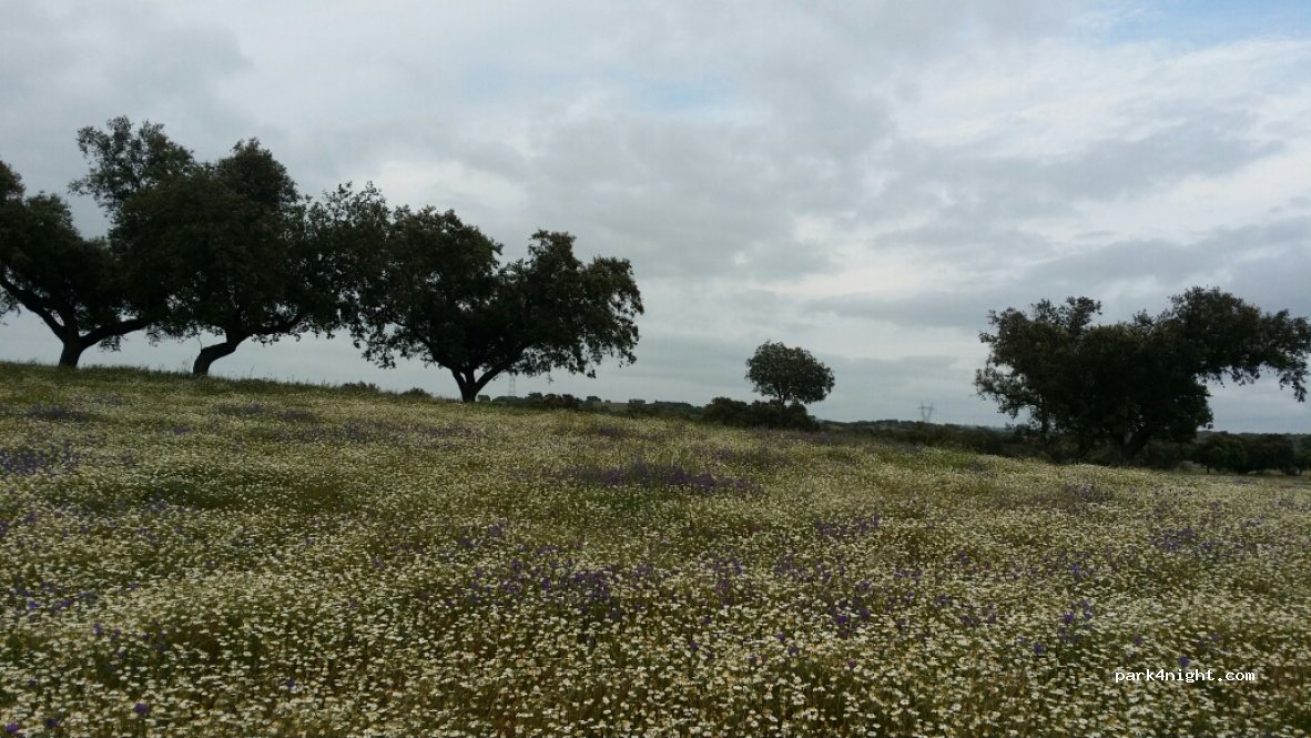 (7090) Aguiar - Unnamed Road — foto 2