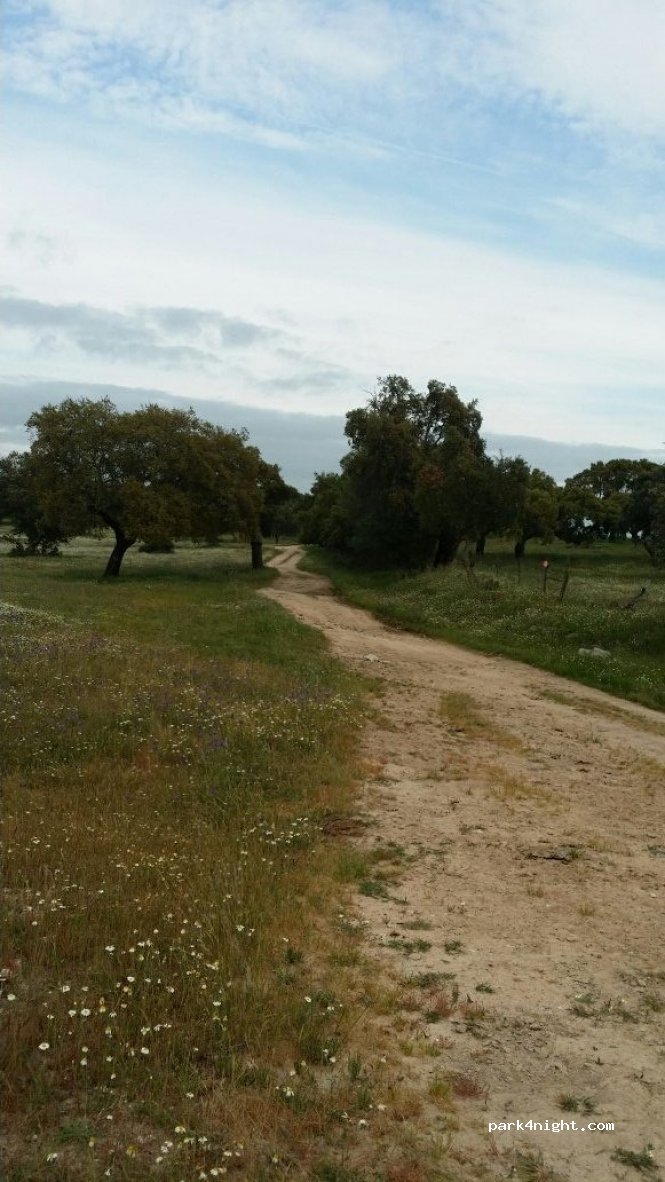 (7090) Aguiar - Unnamed Road — foto 3