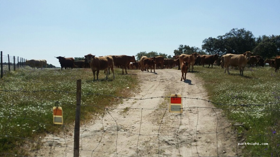 (7090) Aguiar - Unnamed Road — foto 4