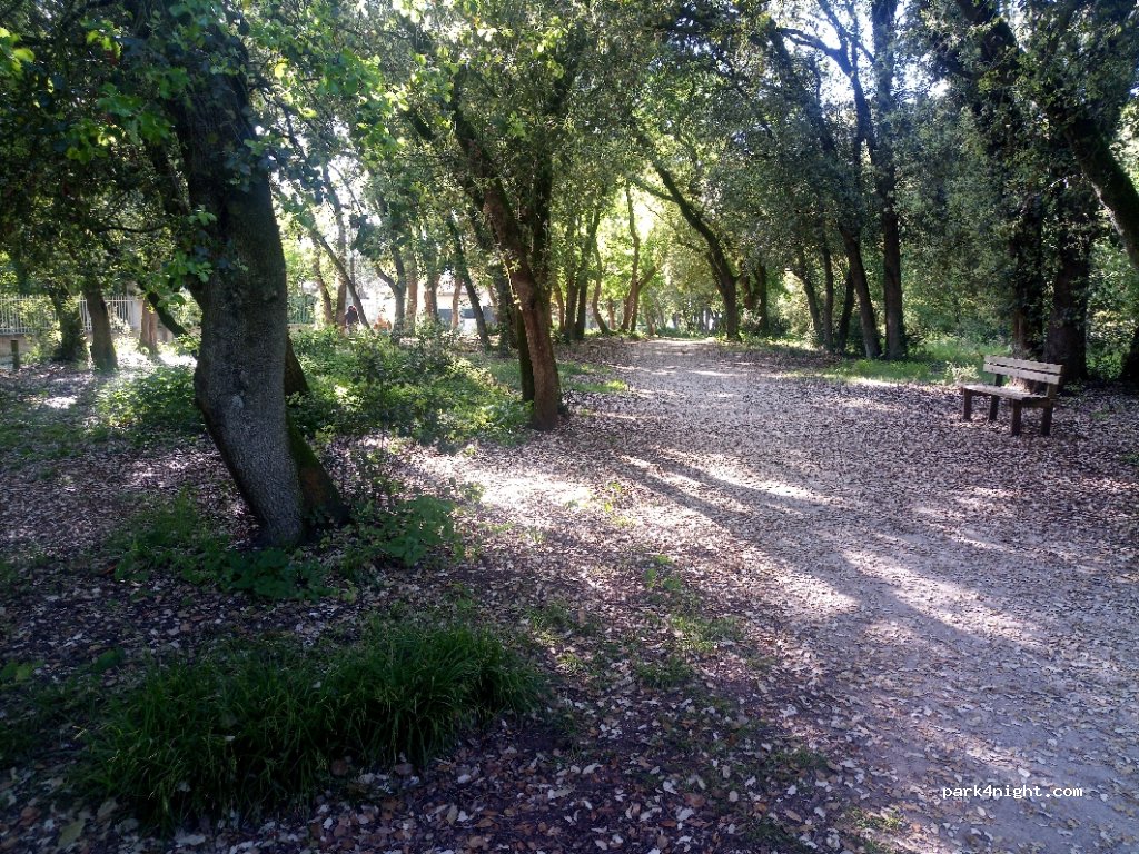(17450) Fouras - 1 Avenue du Bois Vert — foto 3