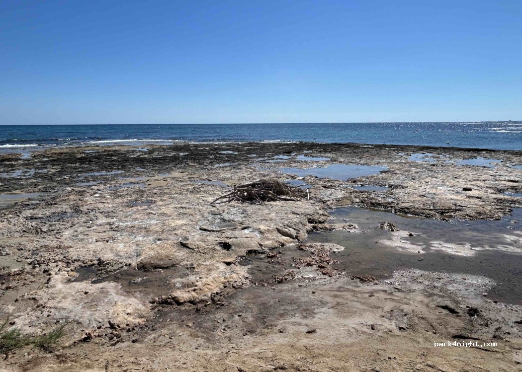 Campeggio Pineta al Mare — foto 5