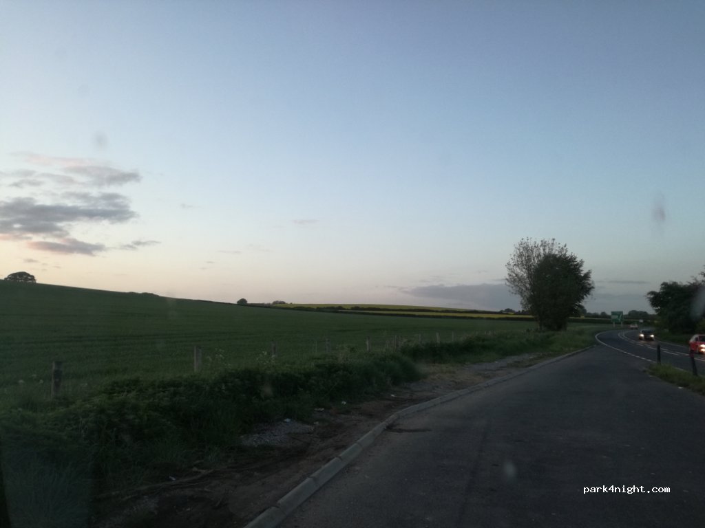 (BH20) Bere Regis - A31 — foto principale