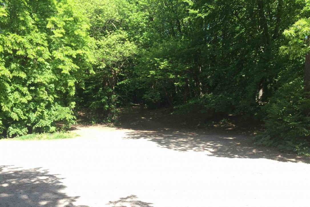(95390) Saint-Prix - Chemin de Madame — foto 3
