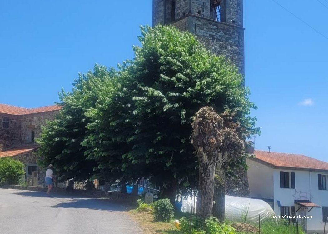 (55030) Varliano - 23 Strada Regionale 445 — foto